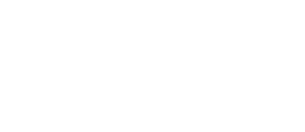 partner logo česká spřitelna nadace